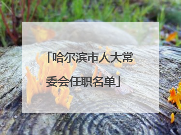 哈尔滨市人大常委会任职名单
