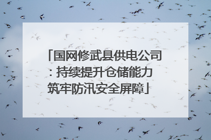 国网修武县供电公司：持续提升仓储能力 筑牢防汛安全屏障