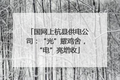 国网上杭县供电公司：“光”耀鸡舍，“电”亮增收