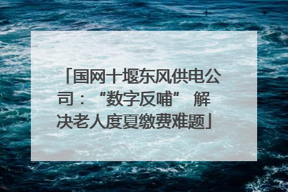 国网十堰东风供电公司：“数字反哺” 解决老人度夏缴费难题