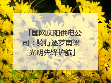 国网庆阳供电公司：骑行逐梦南梁 光明先锋护航