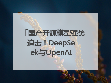 国产开源模型强势追击！DeepSeek与OpenAI最新模型实测对决