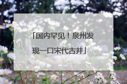 国内罕见！泉州发现一口宋代古井