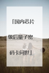 国内芯片级后量子密码卡问世
