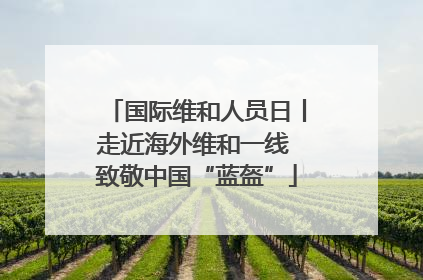 国际维和人员日丨走近海外维和一线 致敬中国“蓝盔”