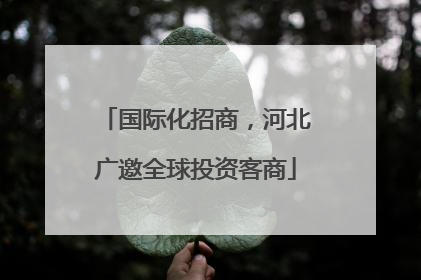 国际化招商，河北广邀全球投资客商
