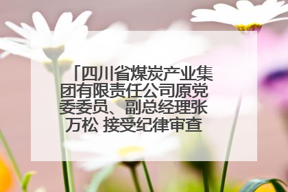 四川省煤炭产业集团有限责任公司原党委委员、副总经理张万松 接受纪律审查和监察调查