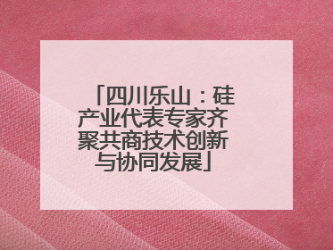 四川乐山：硅产业代表专家齐聚共商技术创新与协同发展