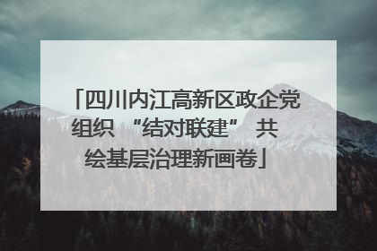 四川内江高新区政企党组织 “结对联建” 共绘基层治理新画卷