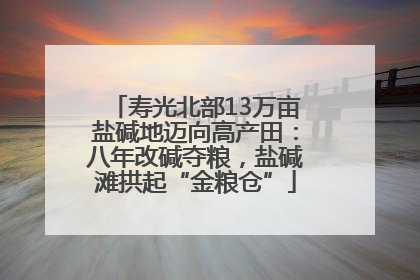 寿光北部13万亩盐碱地迈向高产田：八年改碱夺粮，盐碱滩拱起“金粮仓”