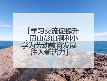 学习交流促提升，眉山彭山鹏利小学为劳动教育发展注入新活力
