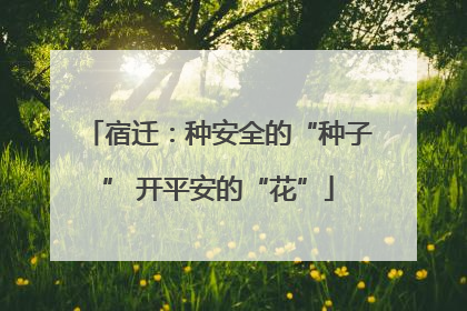 宿迁：种安全的“种子” 开平安的“花”