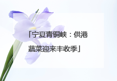 宁夏青铜峡：供港蔬菜迎来丰收季