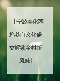 宁波奉化西坞茭白文化盛宴解锁乡村新风味