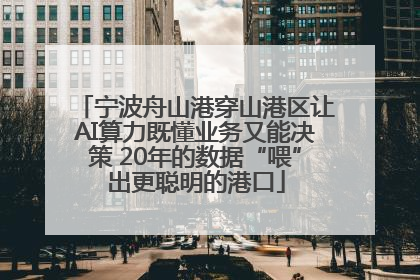 宁波舟山港穿山港区让AI算力既懂业务又能决策 20年的数据“喂”出更聪明的港口