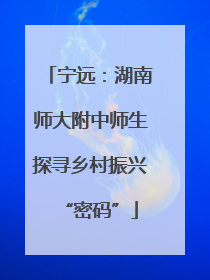 宁远：湖南师大附中师生探寻乡村振兴“密码”