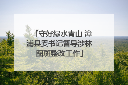 守好绿水青山 漳浦县委书记督导涉林图斑整改工作