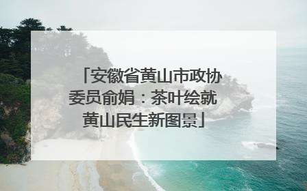 安徽省黄山市政协委员俞娟：茶叶绘就黄山民生新图景