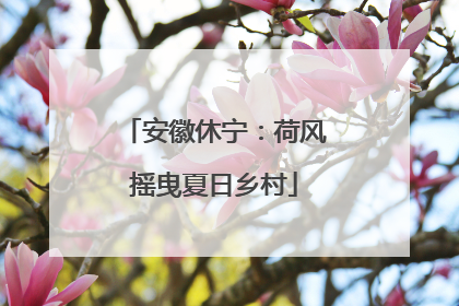 安徽休宁：荷风摇曳夏日乡村