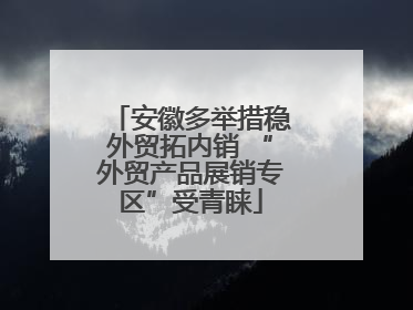 安徽多举措稳外贸拓内销 “外贸产品展销专区”受青睐
