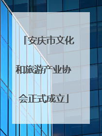安庆市文化和旅游产业协会正式成立
