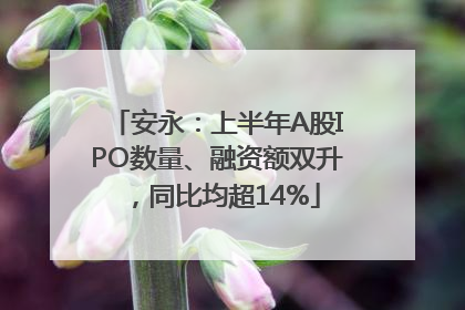 安永：上半年A股IPO数量、融资额双升，同比均超14%