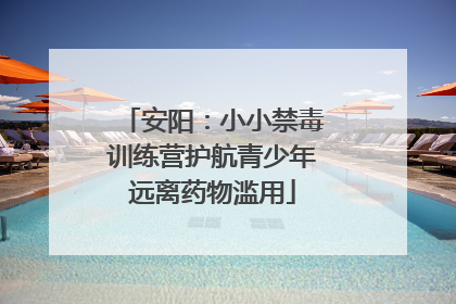 安阳：小小禁毒训练营护航青少年远离药物滥用