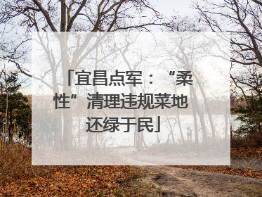 宜昌点军：“柔性”清理违规菜地 还绿于民