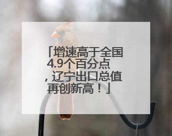 增速高于全国4.9个百分点，辽宁出口总值再创新高！