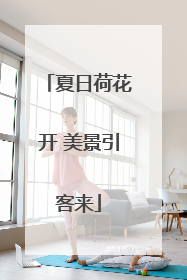 夏日荷花开 美景引客来