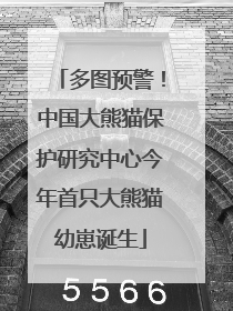 多图预警！中国大熊猫保护研究中心今年首只大熊猫幼崽诞生