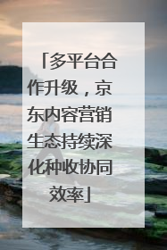 多平台合作升级，京东内容营销生态持续深化种收协同效率