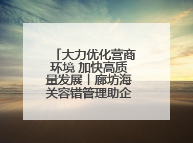 大力优化营商环境 加快高质量发展丨廊坊海关容错管理助企“轻装上阵”