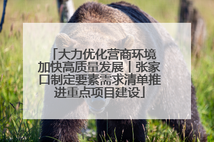 大力优化营商环境 加快高质量发展丨张家口制定要素需求清单推进重点项目建设