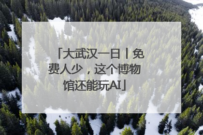 大武汉一日丨免费人少，这个博物馆还能玩AI
