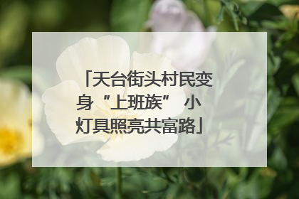 天台街头村民变身“上班族” 小灯具照亮共富路