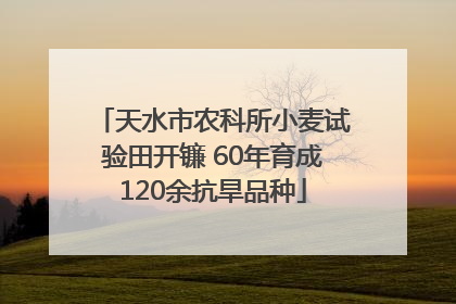 天水市农科所小麦试验田开镰 60年育成120余抗旱品种