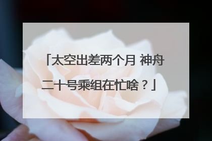 太空出差两个月 神舟二十号乘组在忙啥？