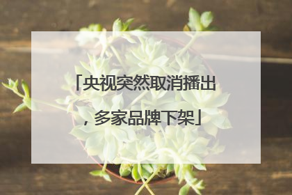 央视突然取消播出，多家品牌下架