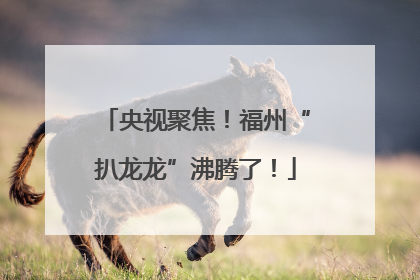 央视聚焦！福州“扒龙龙”沸腾了！