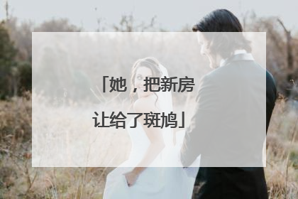 她，把新房让给了斑鸠