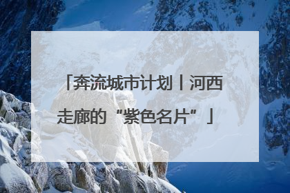 奔流城市计划丨河西走廊的“紫色名片”