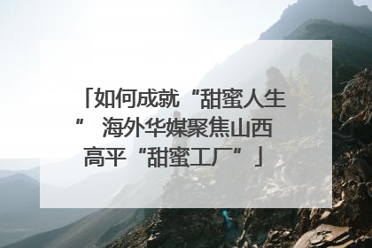 如何成就“甜蜜人生” 海外华媒聚焦山西高平“甜蜜工厂”