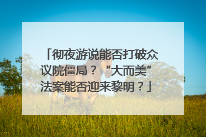 彻夜游说能否打破众议院僵局？“大而美”法案能否迎来黎明？