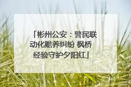 彬州公安：警民联动化赡养纠纷 枫桥经验守护夕阳红