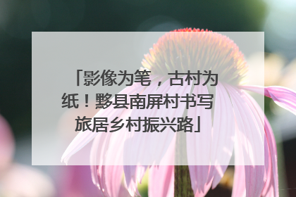 影像为笔，古村为纸！黟县南屏村书写旅居乡村振兴路