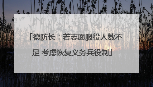 德防长：若志愿服役人数不足 考虑恢复义务兵役制