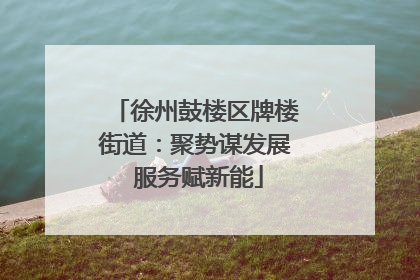 徐州鼓楼区牌楼街道：聚势谋发展 服务赋新能