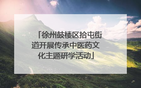 徐州鼓楼区拾屯街道开展传承中医药文化主题研学活动