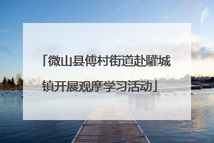 微山县傅村街道赴驩城镇开展观摩学习活动